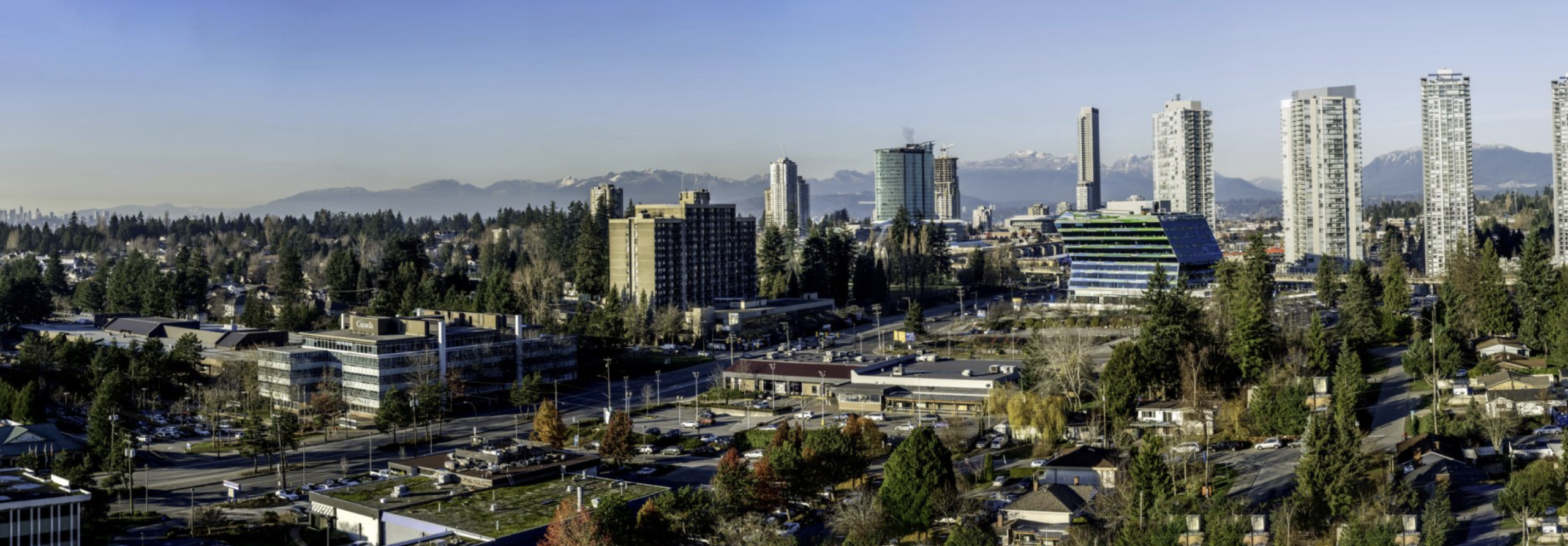 Fee-Only Financial Planner In Surrey